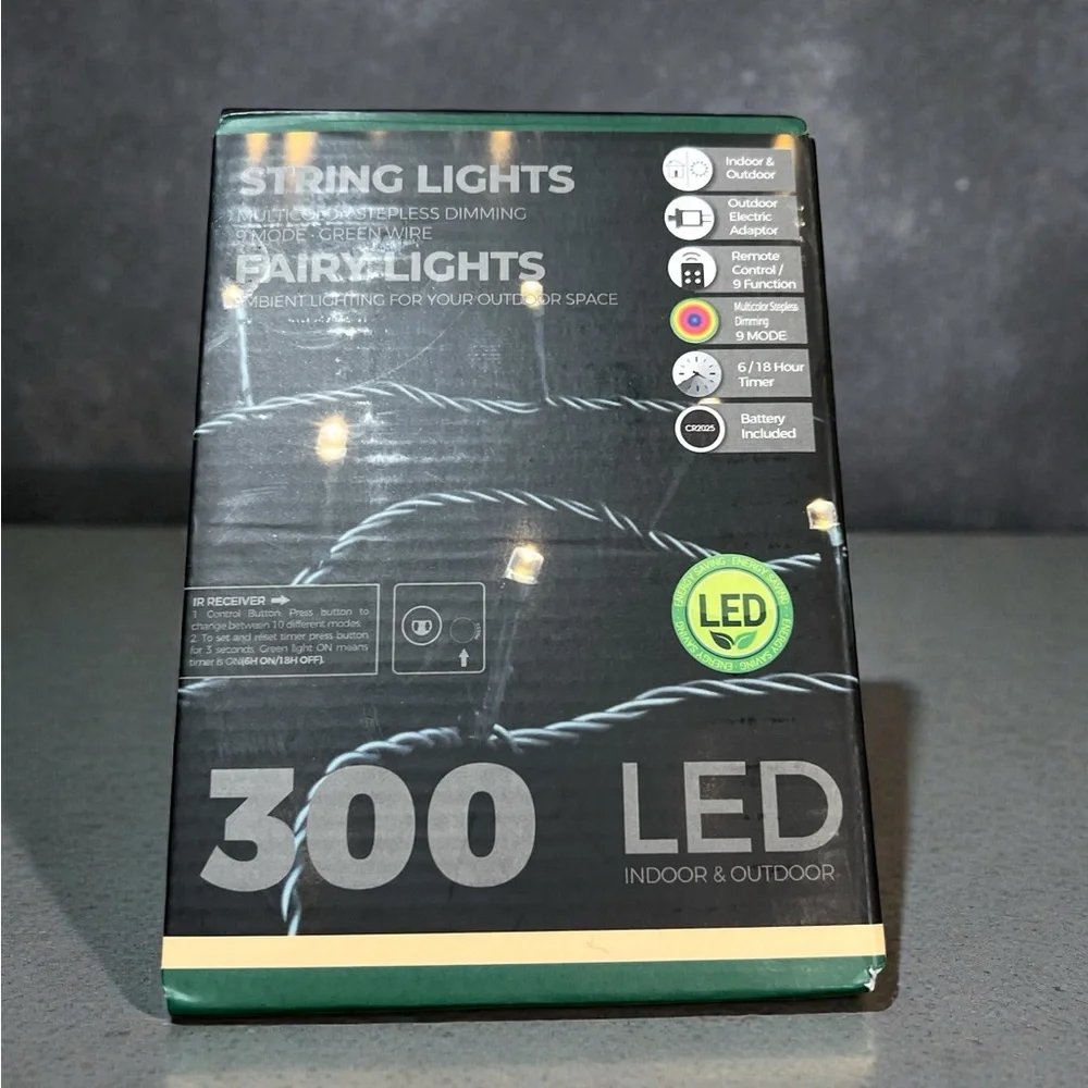 Uncommon James LED String Lights - Multicolor - Picture 1 of 4